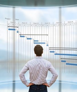 Aplicação da gestão de projetos para implantação de um sistema WMS